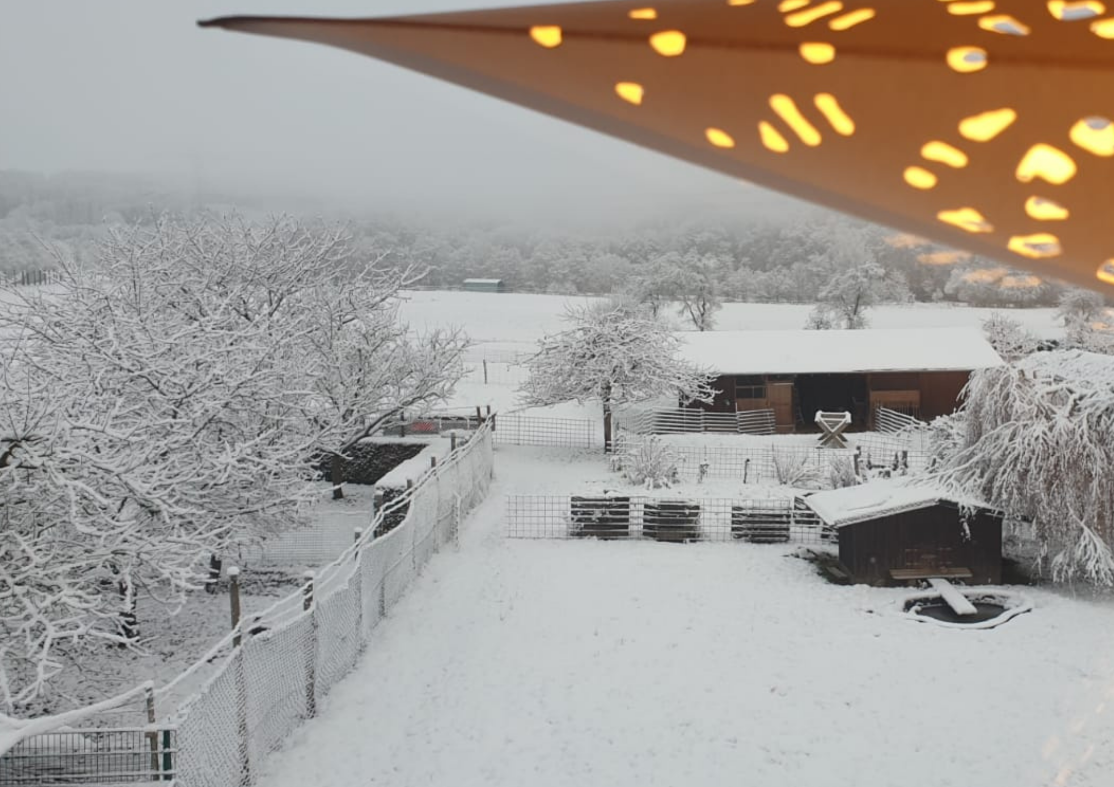 Blick auf den verschneiten Westerwald